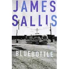 Bluebottle (A Lew Griffin novel)