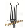 Petite cuisine du Diable de Poppy-Z Brite