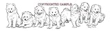 Samoyed - Puppies in a Row by Cindy Farmer