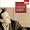 Schubert: Die Forelle and Other Lieder