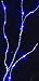 Angel Tear Blue 25 LED Fairy Lights
