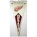 Winning Streak Detroit Red Wings Team Pennant