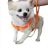 Dog Collar, Itery Led USB Rechargeable Pet Safety Collar Waterproof Light up Adjustable Flashing Collar (Orange)