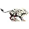 ULTIMATE Zoids