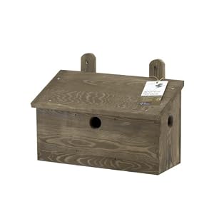 Bird Houses