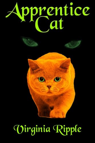 Apprentice Cat
