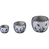 ���i�̏ڍ�