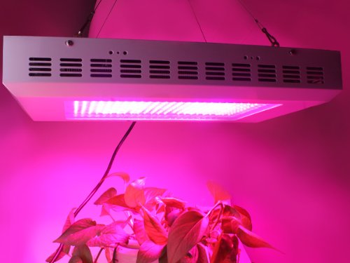 LED grow light reviews