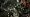 Killzone 2