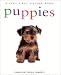 Very First Picture Series: Puppies (Very First Picture Books (Lorenz Hardcover))