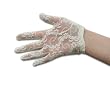 SALE The Lace Elastic Wrist Shortie Gloves In Ivory Or White