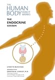 The Endocrine System (The Human Body-How It Works)