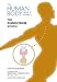 The Endocrine System (The Human Body-How It Works)