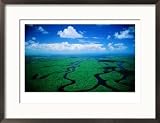 Aerial View of Wetlands, Everglades National Park, USA Framed Photographic Poster Print by Jim Wark, 29x21