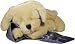 : Cloud b Lavender Lab - Plush Dog with Scented Lavender