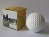 Trick Exploding Golf Ball