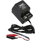 Hunten Outdoors 6-Volt/12-Volt Battery Charger
