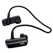 Sony Walkman NWZ-W252BLK - Digital player - flash 1.68 GB - WMA, AAC, MP3, AAC-LC - black
