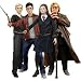 Harry Potter And The Half Blood Prince: 7" Harry And Ginny Figures (2 Pack)
