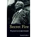 Secret Fire: The Spiritual Vision of J R R Tolkien