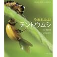 うまれたよ！テントウムシ<br>中瀬 潤写真 小杉 みのり構成・文 <br>岩崎書店<br>2310円<br>ISBN:9784265020447