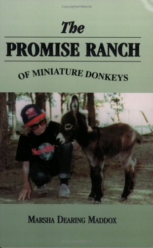 Miniatures