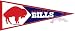 Buffalo Bills Throwback Felt Pennant