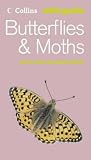 Butterflies and Moths (Collins Wild Guide)