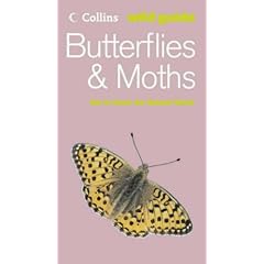 Collins Wild Guide - Butterflies and Moths
