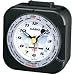 Casio World Time Alarm Clock (tq131u-1)