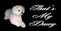 AIRBRUSHED LICENSE PLATES - POODLE - WHITE - #1795