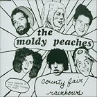 Country Fair by  Moldy Peaches 