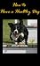How to Have a Healthy Dog