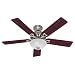 Hunter 22460 The Astoria 52-Inch Five Blades Ceiling Fan, Brushed Nickel with Bowl