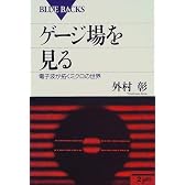 ゲージ場を見る―電子波が拓くミクロの世界 (ブルーバックス)