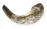 14 Sterling Silver Plated Rams Horn Shofar with Gold , made in Israel