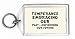 Temperance: Embracing Our Past...envisioning Our Future Keychain
