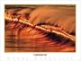 Woody Woodworth "Firewave" Surfing Poster