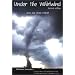 Under the Whirlwind: Everything You Need to Know About Tornadoes But Didn't Know Who to Ask