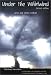 Under the Whirlwind: Everything You Need to Know About Tornadoes But Didn't Know Who to Ask