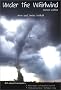 Under the Whirlwind: Everything You Need to Know About Tornadoes But Didn't Know Who to Ask