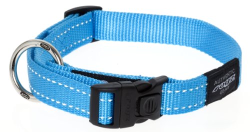 Rogz Reflective Fanbelt Large Dog Collar, Turquoise