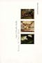 Carr, O`Keeffe, Kahlo: Places of Their Own