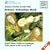 Sonatas and Partitas for Solo Violin [DOPPEL-CD]