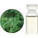 �����̖� C �a���� �� (�t) �G�b�Z���V�����I�C�� 10ml