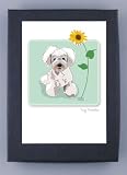 Paper Russells Toy Poodle Boxed Note Cards - Eco-Friendly from the USA