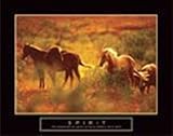 IMAGE OF Spirit - Horses HIGH QUALITY CANVAS Print With Light Added BRUSHSTROKES Unknown 28x22