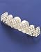 Silver Glitz Grillz