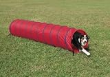 Petsafe Agility 10' Open Tunnel