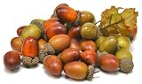 Artificial Fall Harvest Large Acorns - Package of 36